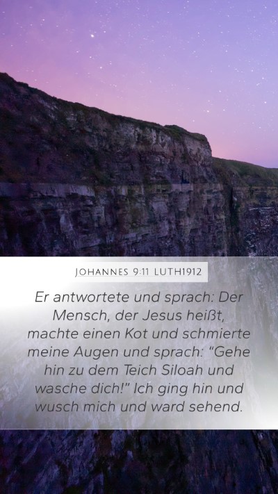 Johannes 9:11 LUTH1912 Bible Verse Image
