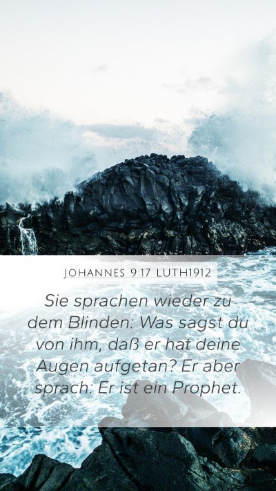 Johannes 9:17 LUTH1912 Bible Verse Image