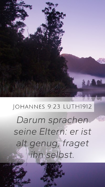 Johannes 9:23 LUTH1912 Mobile Phone Wallpaper - Darum sprachen seine Eltern: er ist alt genug, - Mobile Bible Verse Wallpaper