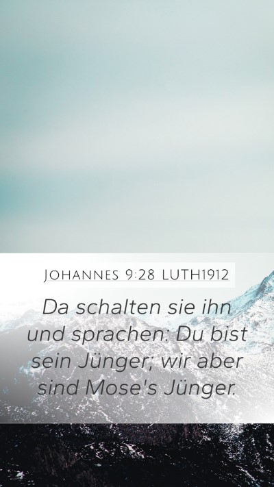Johannes 9:28 LUTH1912 Bible Verse Image