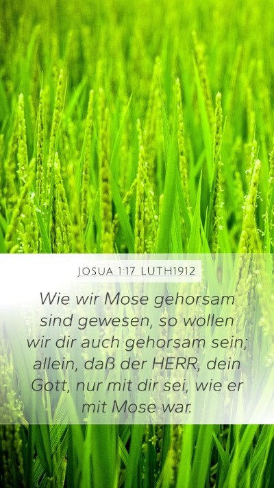 Josua 1:17 LUTH1912 Bible Verse Image
