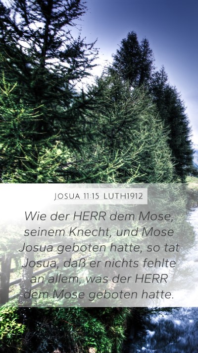 Josua 11:15 LUTH1912 Bible Verse Image