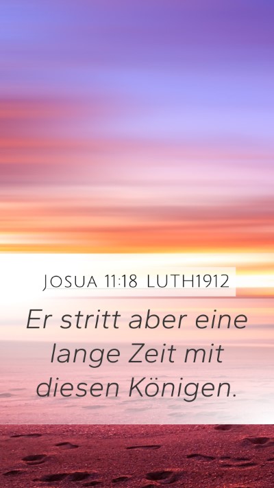 Josua 11:18 LUTH1912 Bible Verse Image