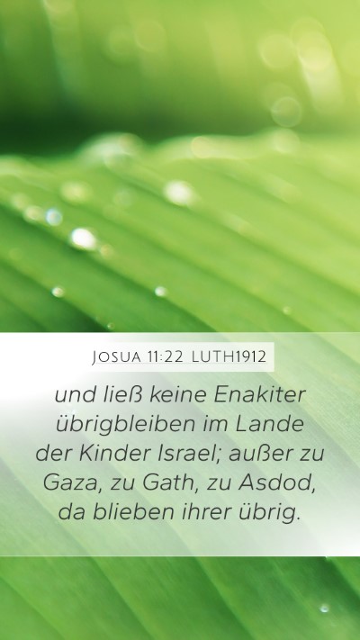 Josua 11:22 LUTH1912 Bible Verse Image