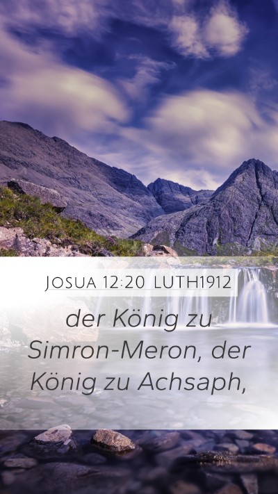 Josua 12:20 LUTH1912 Bible Verse Image