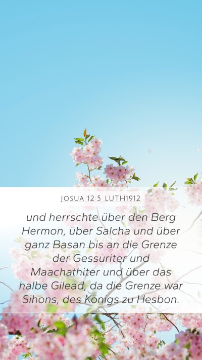 Josua 12:5 LUTH1912 Bible Verse Image
