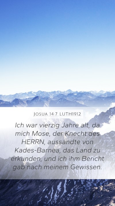 Josua 14:7 LUTH1912 Mobile Phone Wallpaper - Ich war vierzig Jahre alt, da mich Mose, der - Mobile Bible Verse Wallpaper