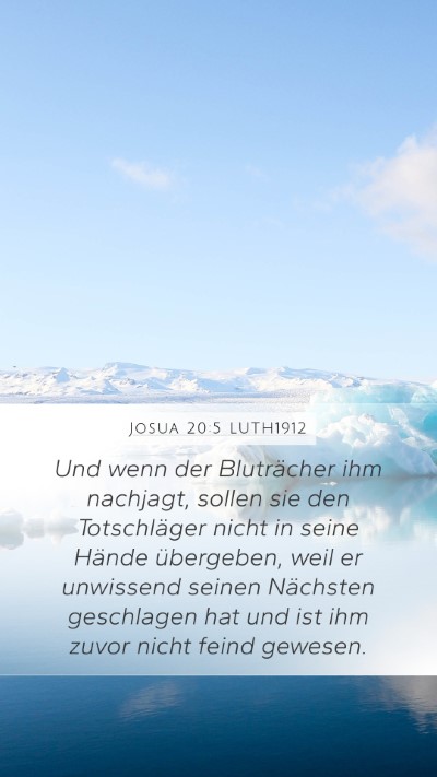 Josua 20:5 LUTH1912 Mobile Phone Wallpaper - Und wenn der Bluträcher ihm nachjagt, sollen sie - Mobile Bible Verse Wallpaper