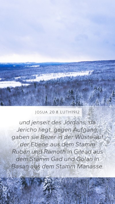 Josua 20:8 LUTH1912 Bible Verse Image