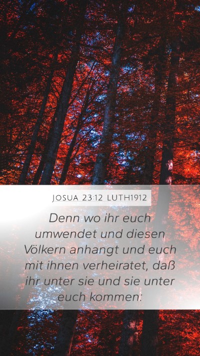 Josua 23:12 LUTH1912 Bible Verse Image