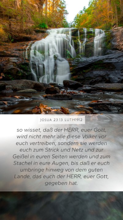 Josua 23:13 LUTH1912 Bible Verse Image