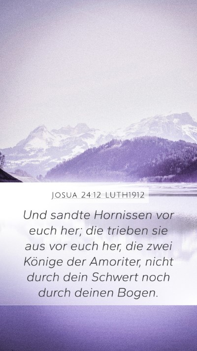 Josua 24:12 LUTH1912 Bible Verse Image