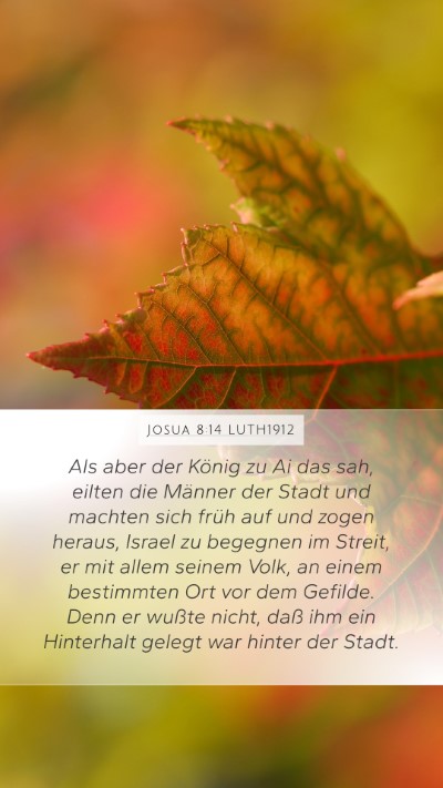 Josua 8:14 LUTH1912 Bible Verse Image