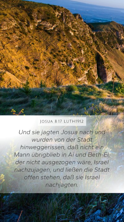 Josua 8:17 LUTH1912 Bible Verse Image