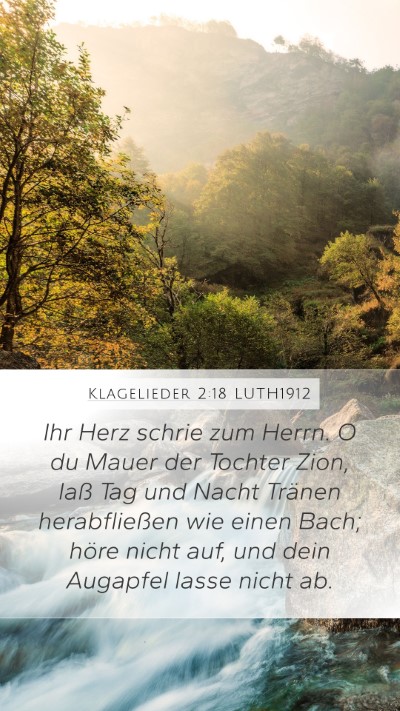 Klagelieder 2:18 LUTH1912 Bible Verse Image