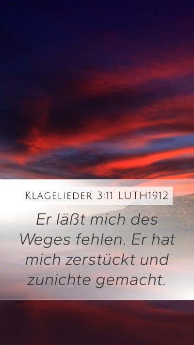 Klagelieder 3:11 LUTH1912 Bible Verse Image