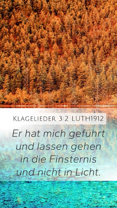 Klagelieder 3:2 LUTH1912 Bible Verse Image