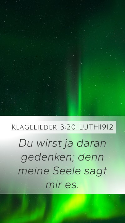 Klagelieder 3:20 LUTH1912 Bible Verse Image
