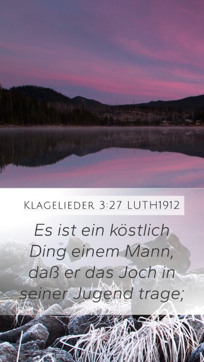 Klagelieder 3:27 LUTH1912 Bible Verse Image