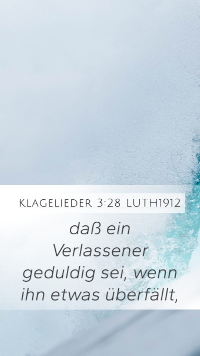 Klagelieder 3:28 LUTH1912 Bible Verse Image