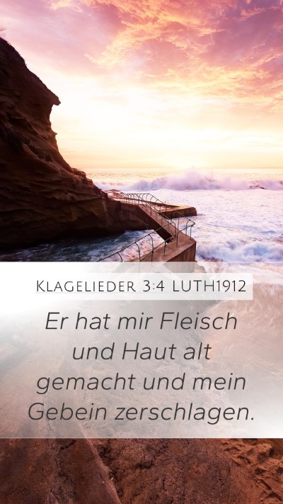 Klagelieder 3:4 LUTH1912 Mobile Phone Wallpaper - Er hat mir Fleisch und Haut alt gemacht und mein - Mobile Bible Verse Wallpaper