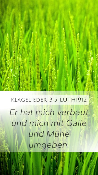 Klagelieder 3:5 LUTH1912 Bible Verse Image