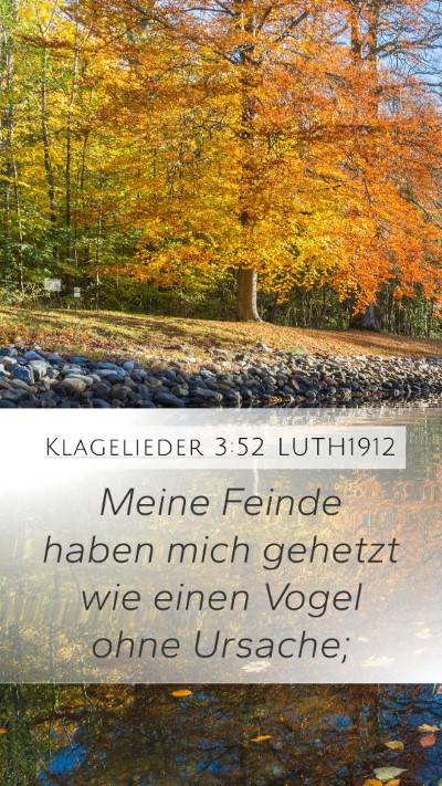 Klagelieder 3:52 LUTH1912 Bible Verse Image