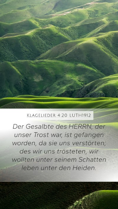 Klagelieder 4:20 LUTH1912 Bible Verse Image
