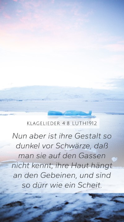 Klagelieder 4:8 LUTH1912 Bible Verse Image