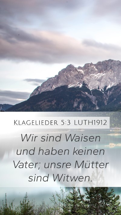 Klagelieder 5:3 LUTH1912 Bible Verse Image