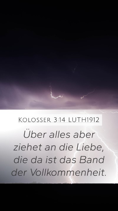 Kolosser 3:14 LUTH1912 Bible Verse Image