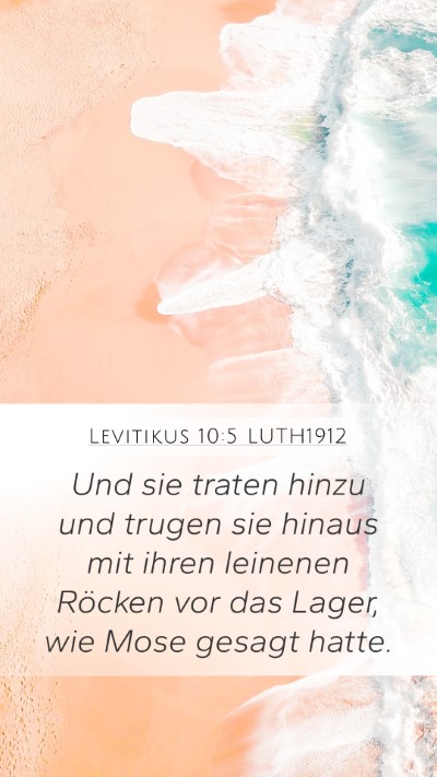 Levitikus 10:5 LUTH1912 Bible Verse Image