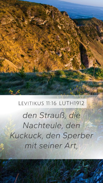 Levitikus 11:16 LUTH1912 Mobile Phone Wallpaper - den Strauß, die Nachteule, den Kuckuck, den - Mobile Bible Verse Wallpaper