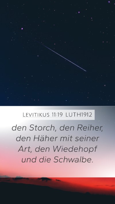 Levitikus 11:19 LUTH1912 Bible Verse Image