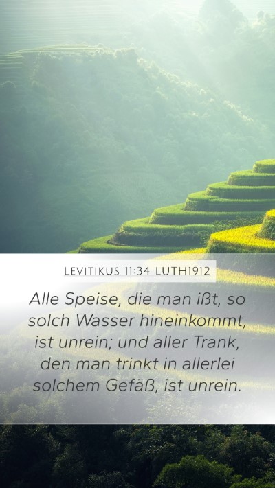 Levitikus 11:34 LUTH1912 Mobile Phone Wallpaper - Alle Speise, die man ißt, so solch Wasser - Mobile Bible Verse Wallpaper