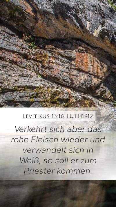 Levitikus 13:16 LUTH1912 Mobile Phone Wallpaper - Verkehrt sich aber das rohe Fleisch wieder und - Mobile Bible Verse Wallpaper