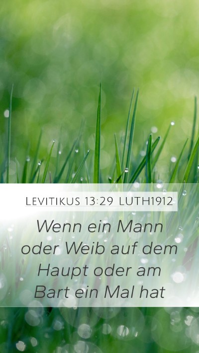 Levitikus 13:29 LUTH1912 Bible Verse Image