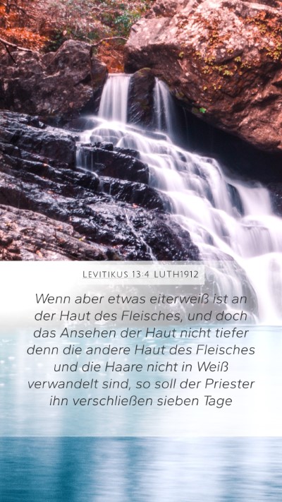 Levitikus 13:4 LUTH1912 Mobile Phone Wallpaper - Wenn aber etwas eiterweiß ist an der Haut des - Mobile Bible Verse Wallpaper