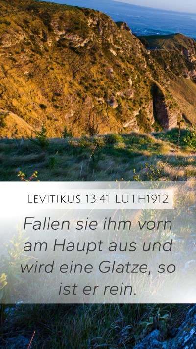 Levitikus 13:41 LUTH1912 Bible Verse Image