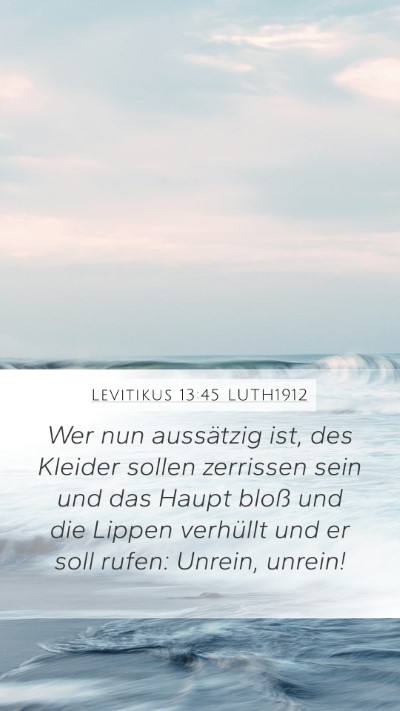 Levitikus 13:45 LUTH1912 Bible Verse Image