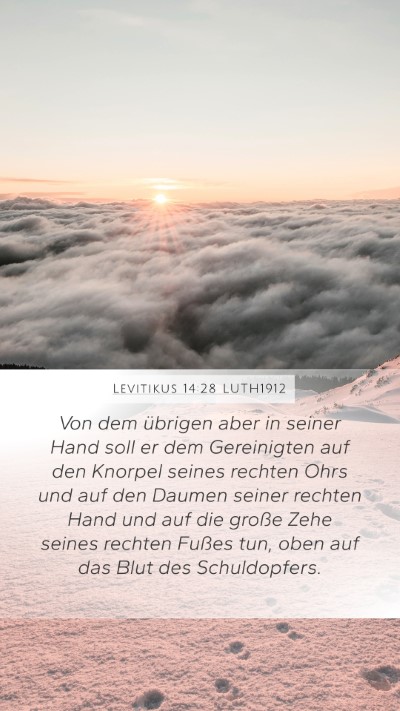 Levitikus 14:28 LUTH1912 Bible Verse Image