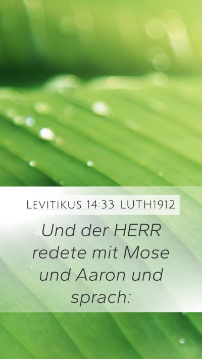 Levitikus 14:33 LUTH1912 Mobile Phone Wallpaper - Und der HERR redete mit Mose und Aaron und - Mobile Bible Verse Wallpaper
