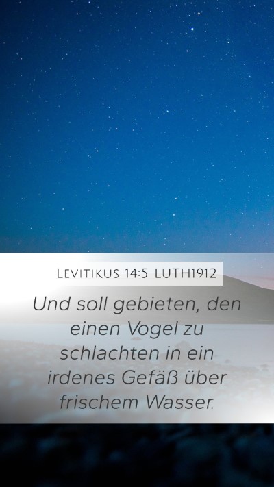 Levitikus 14:5 LUTH1912 Mobile Phone Wallpaper - Und soll gebieten, den einen Vogel zu schlachten - Mobile Bible Verse Wallpaper
