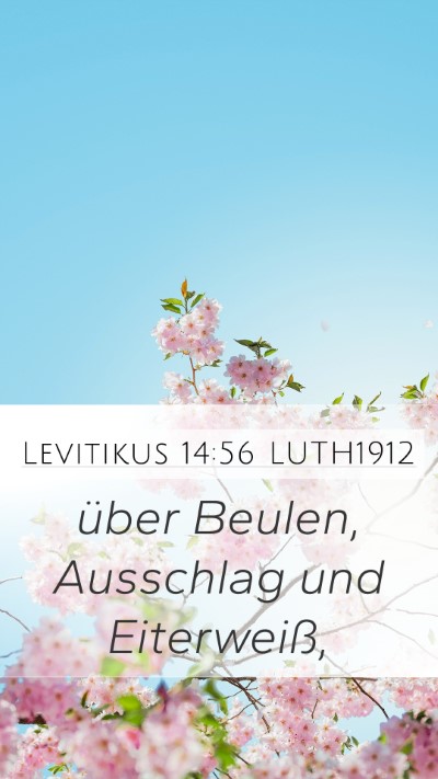Levitikus 14:56 LUTH1912 Bible Verse Image