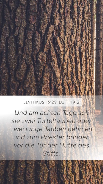 Levitikus 15:29 LUTH1912 Bible Verse Image