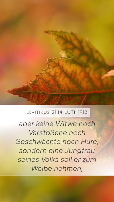 Levitikus 21:14 LUTH1912 Bible Verse Image