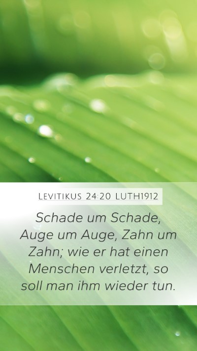Levitikus 24:20 LUTH1912 Mobile Phone Wallpaper - Schade um Schade, Auge um Auge, Zahn um Zahn; wie - Mobile Bible Verse Wallpaper