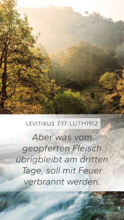 Levitikus 7:17 LUTH1912 Bible Verse Image