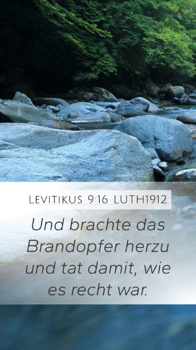 Levitikus 9:16 LUTH1912 Mobile Phone Wallpaper - Und brachte das Brandopfer herzu und tat damit, - Mobile Bible Verse Wallpaper