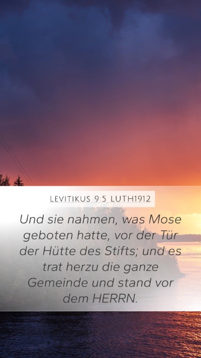 Levitikus 9:5 LUTH1912 Mobile Phone Wallpaper - Und sie nahmen, was Mose geboten hatte, vor der - Mobile Bible Verse Wallpaper